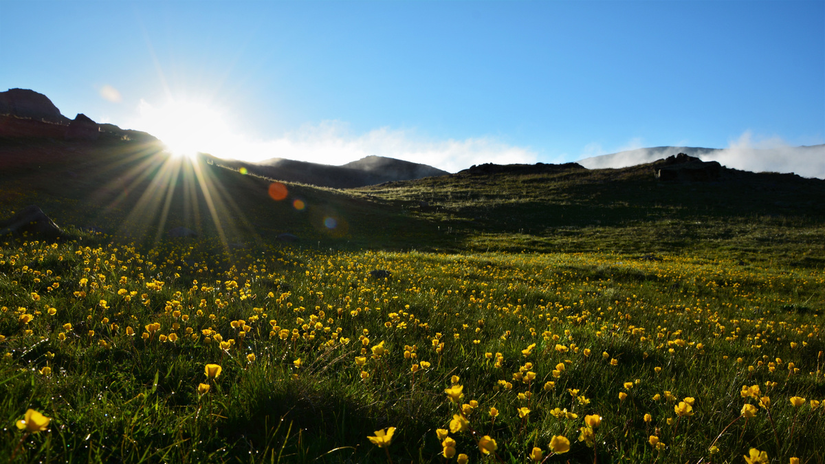 Landscape Of Beautiful Field On Spring